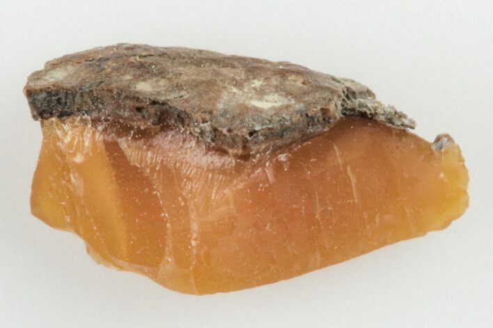 .38" Kansas Amber (Jelinite) Specimen - George Jelinek Collection
